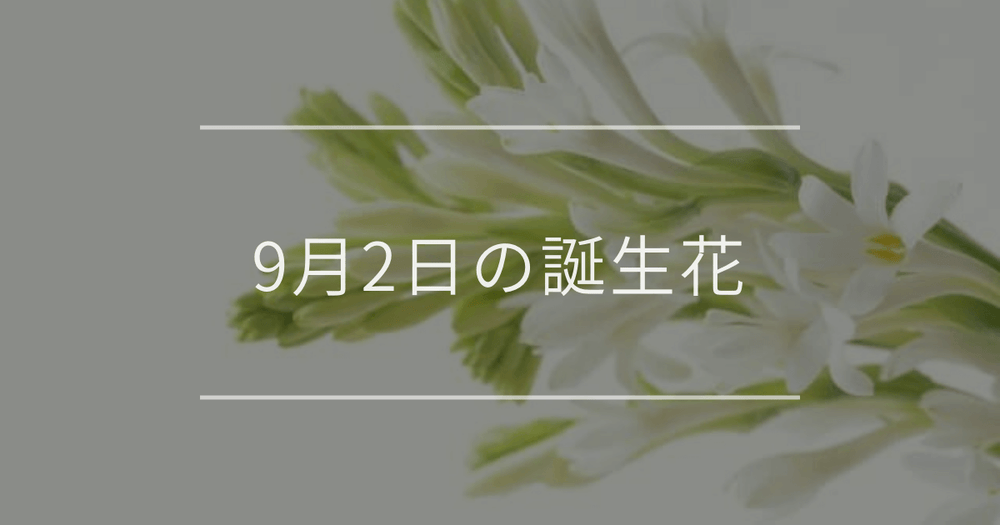 9月2日の誕生花：チューベローズ・黄色いマリーゴールドの花言葉など