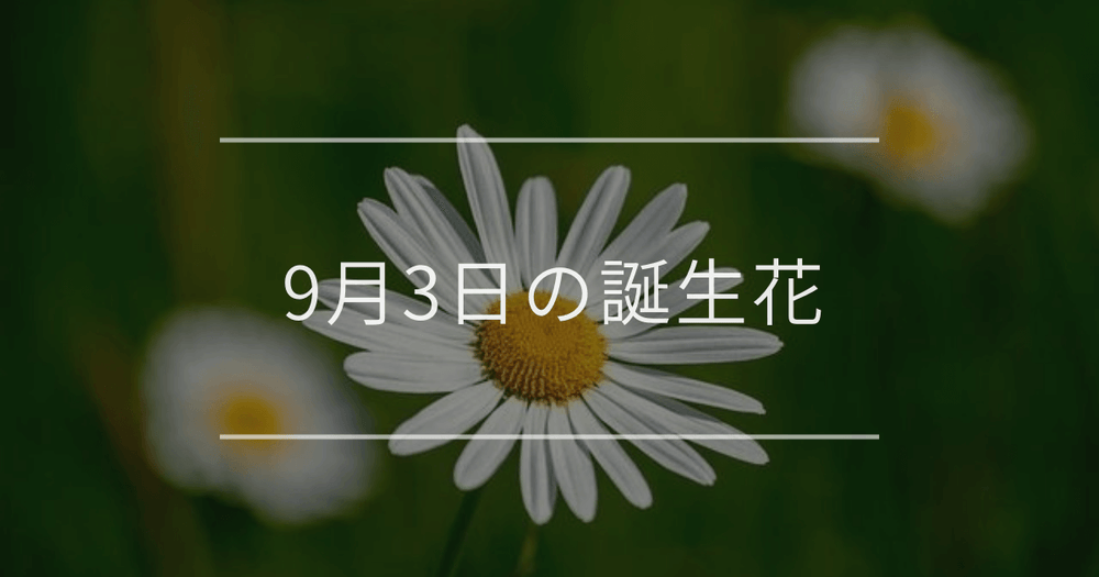 9月3日の誕生花：マーガレット・コスモスの花言葉など