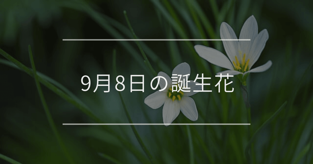 9月8日の誕生花：ゼフィランサス・ホウセンカの花言葉など