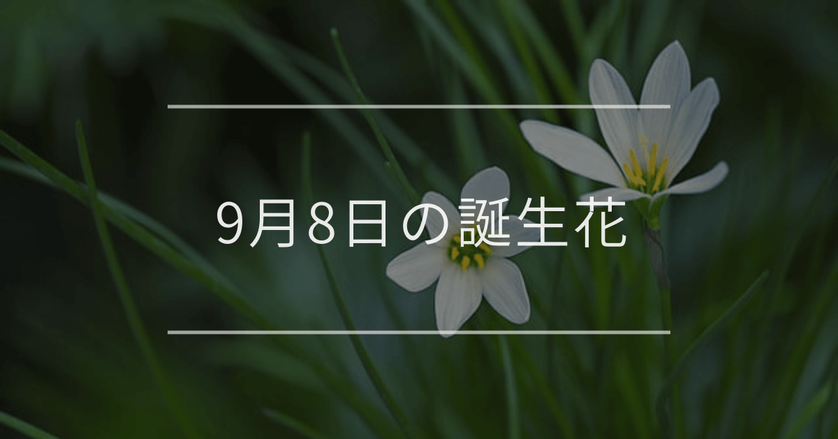 9月8日の誕生花