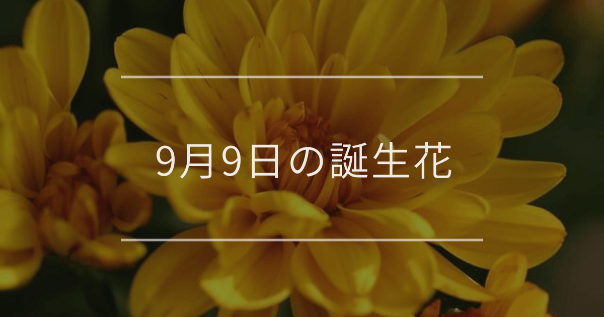 9月9日の誕生花