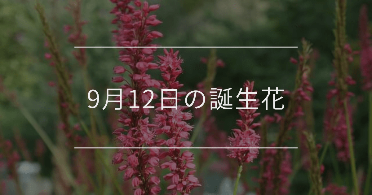 9月12日の誕生花