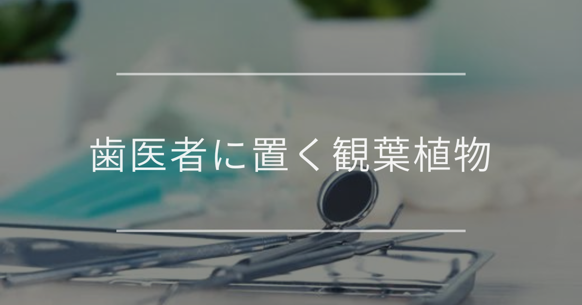 歯医者に置く観葉植物