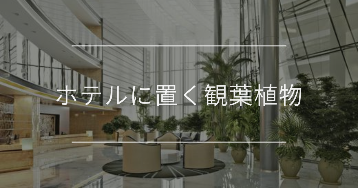 ホテルに置く観葉植物