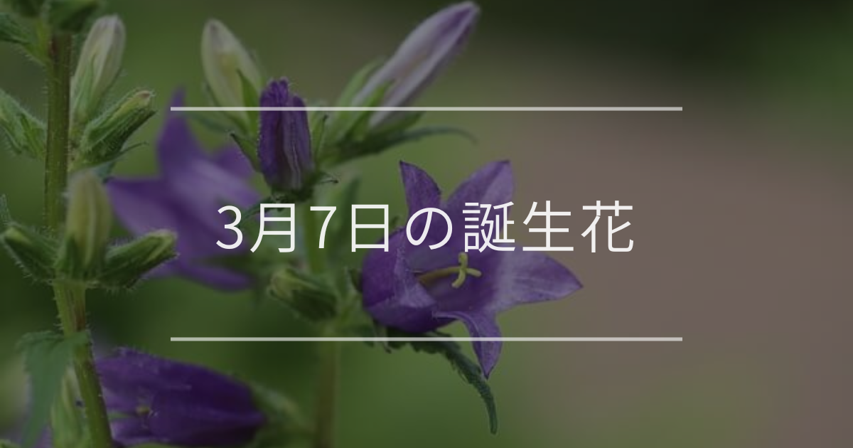 3月7日の誕生花