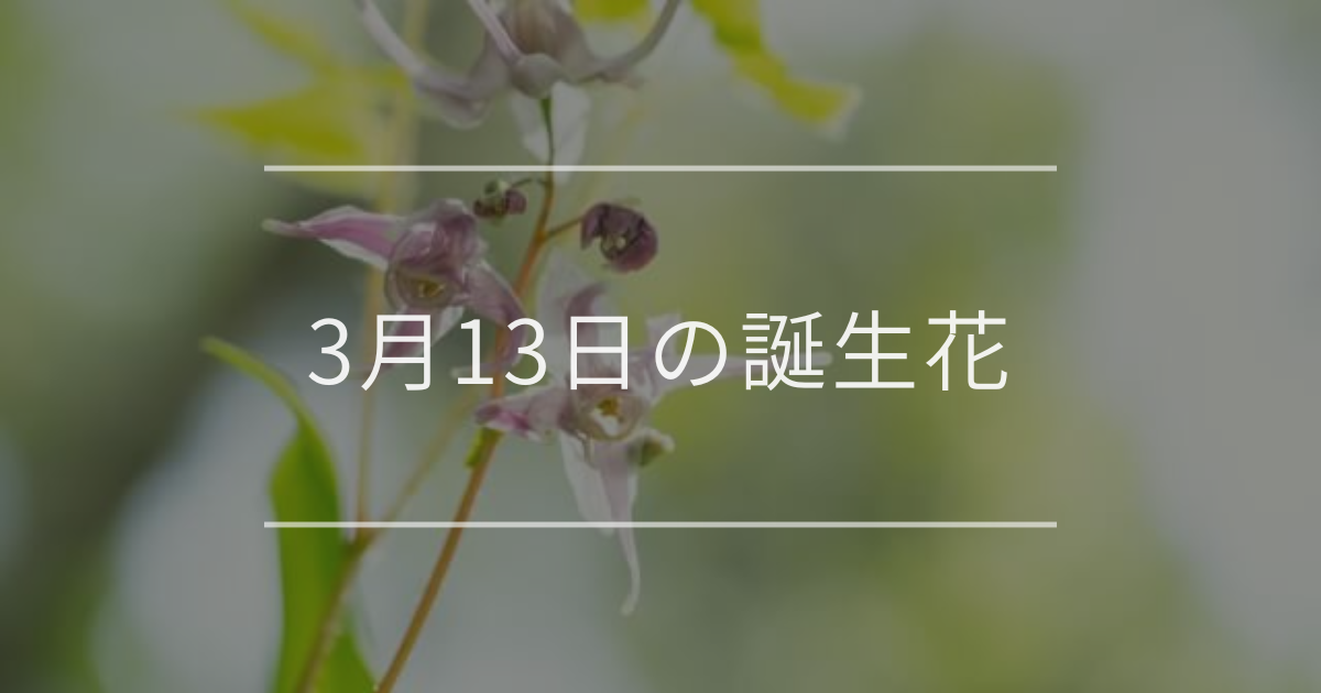 3月13日の誕生花
