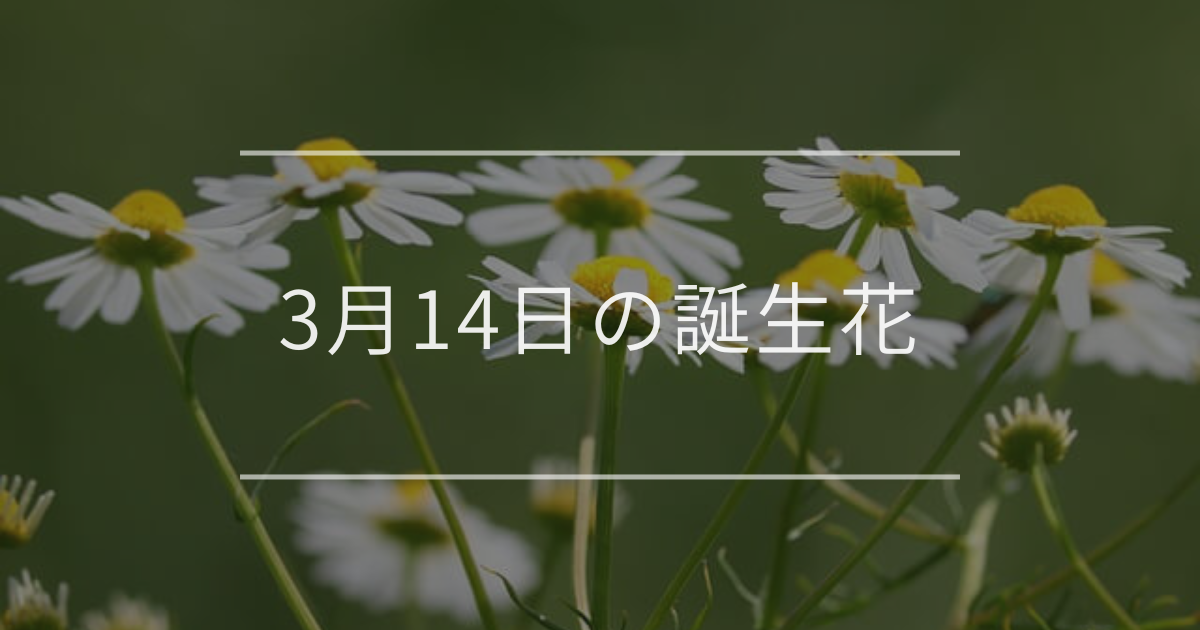 3月14日の誕生花