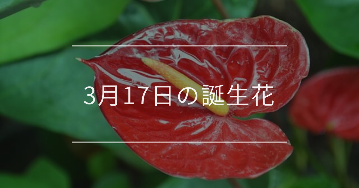 3月17日の誕生花