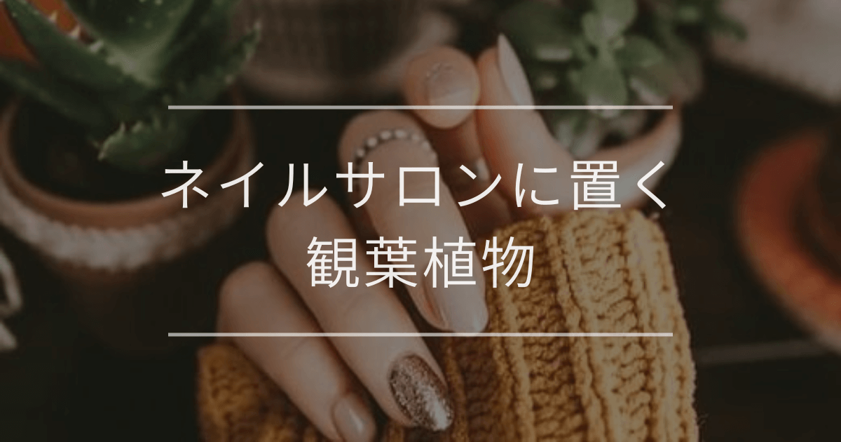 ネイルサロンに置く観葉植物