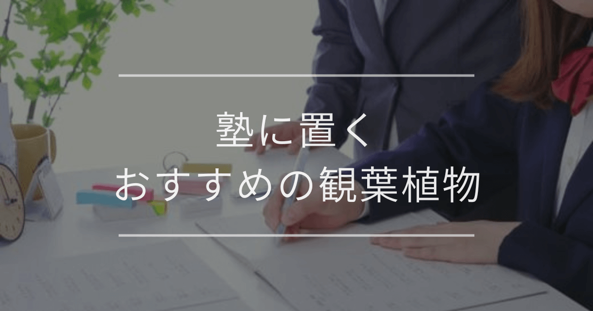 塾に置くおすすめの観葉植物