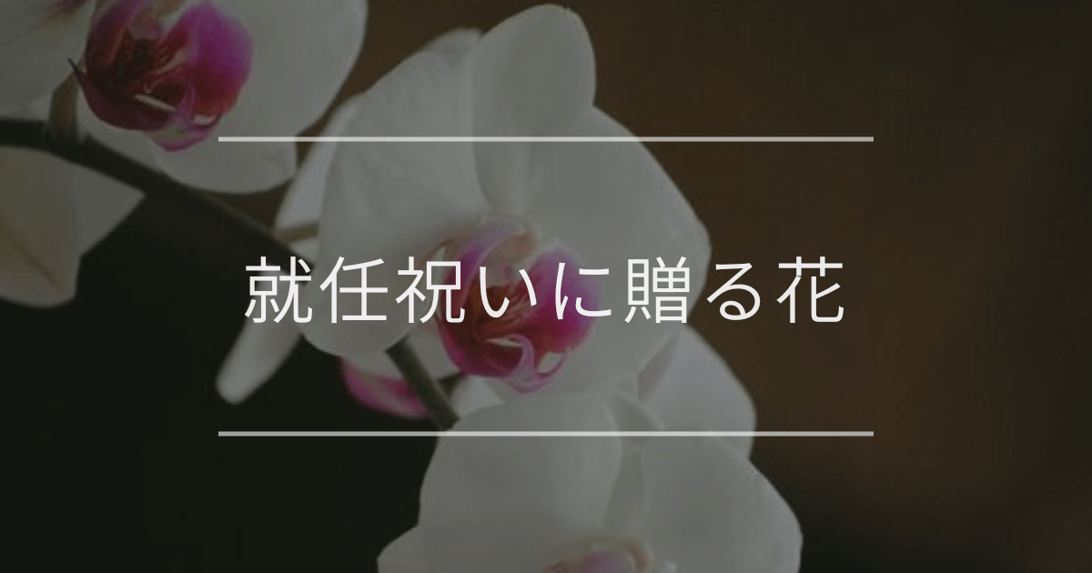 就任祝いに贈る花