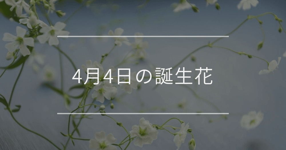 4月4日の誕生花：カスミソウ・スモモなどの花言葉