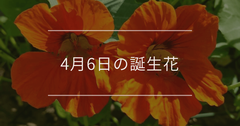 4月6日の誕生花：ナスタチウム・アネモネの花言葉など