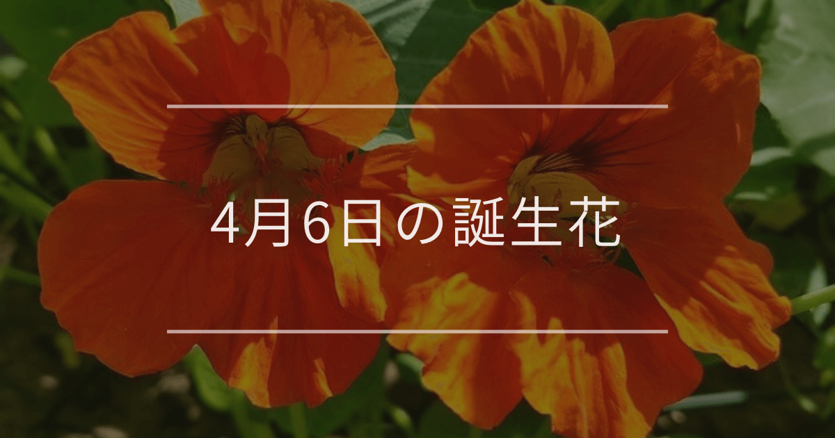 4月6日の誕生花