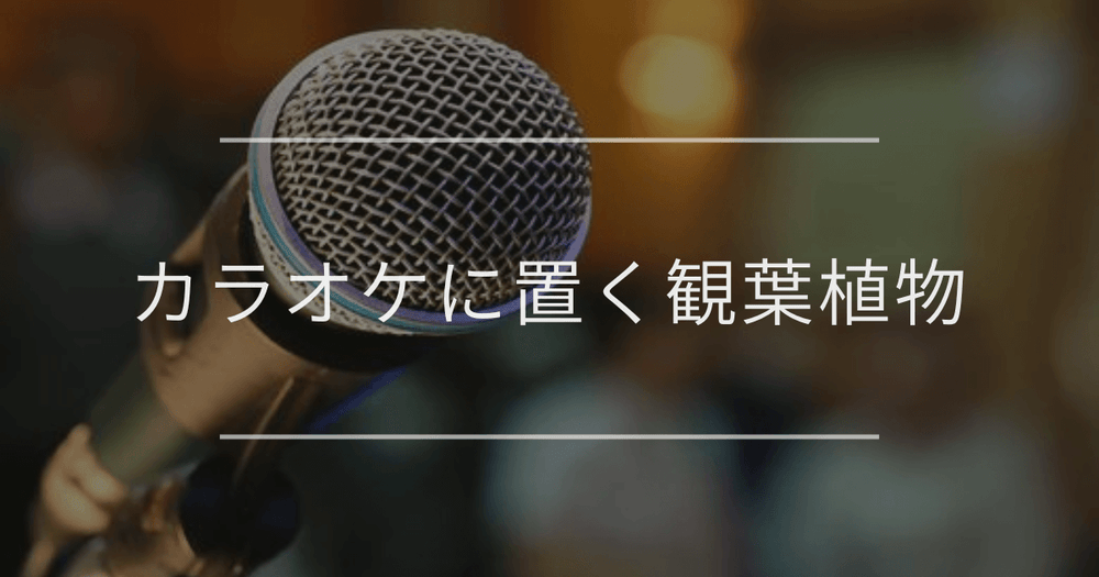 カラオケに置く観葉植物｜おすすめの種類とインテリア例