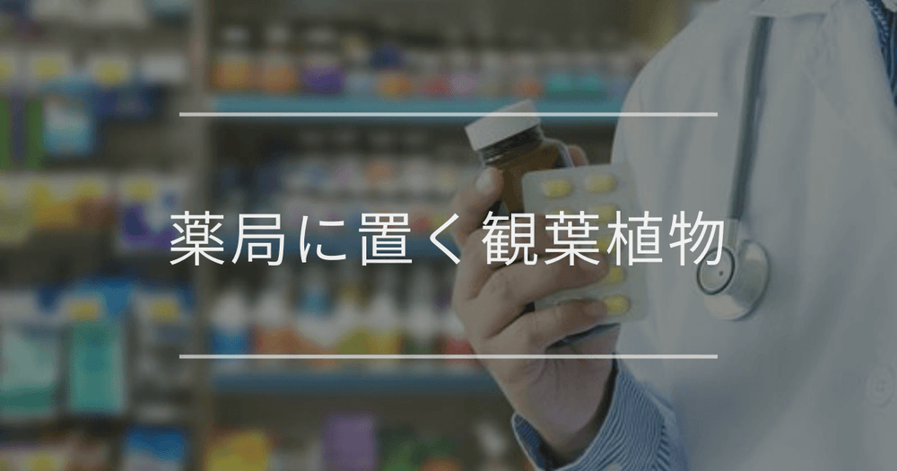 薬局に置く観葉植物｜おすすめの種類とインテリア例