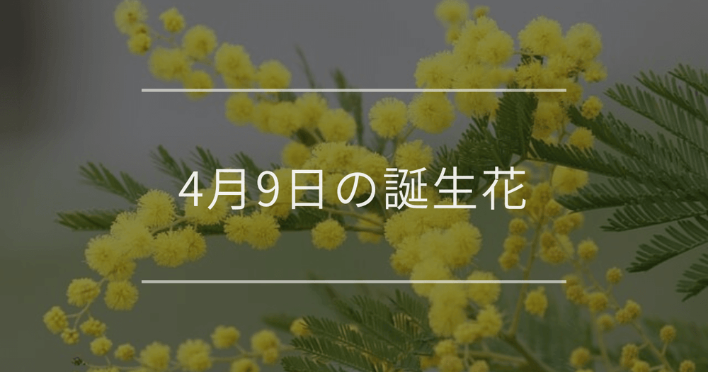 4月9日の誕生花：ミモザ(アカシア)・サクラの花言葉など