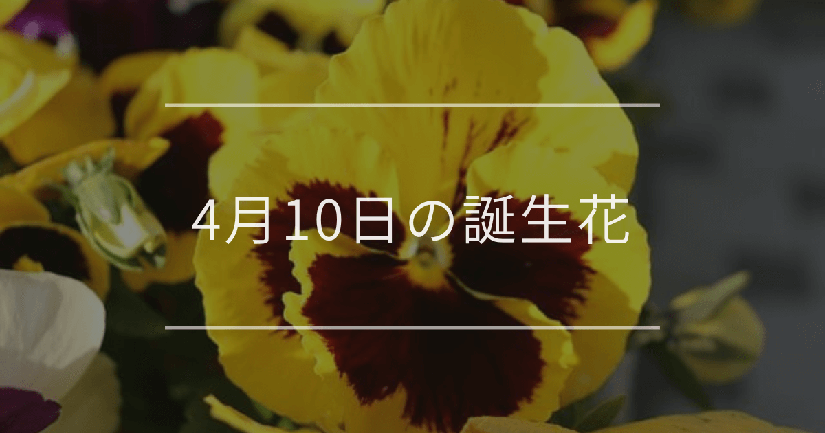 4月10日の誕生花