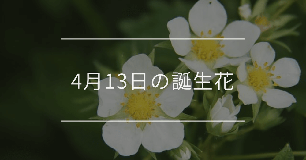 4月13日の誕生花：イチゴ・ハルシャギクの花言葉など