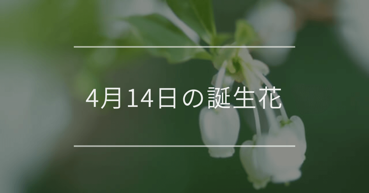 4月14日の誕生花