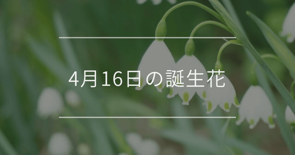 4月16日の誕生花：スノーフレーク・ムシトリナデシコの花言葉など