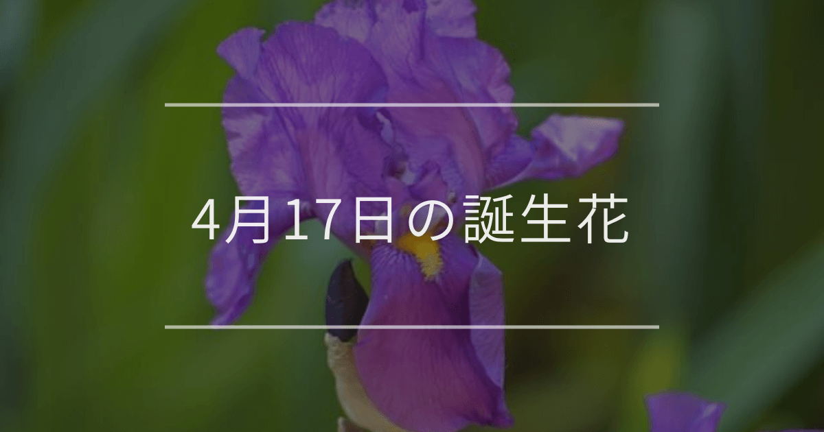 4月17日の誕生花