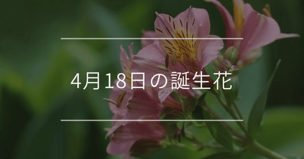 4月18日の誕生花：アルストロメリア・スターチスの花言葉など