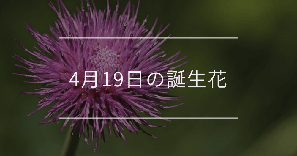 4月19日の誕生花：アザミ・デルフィニウムの花言葉