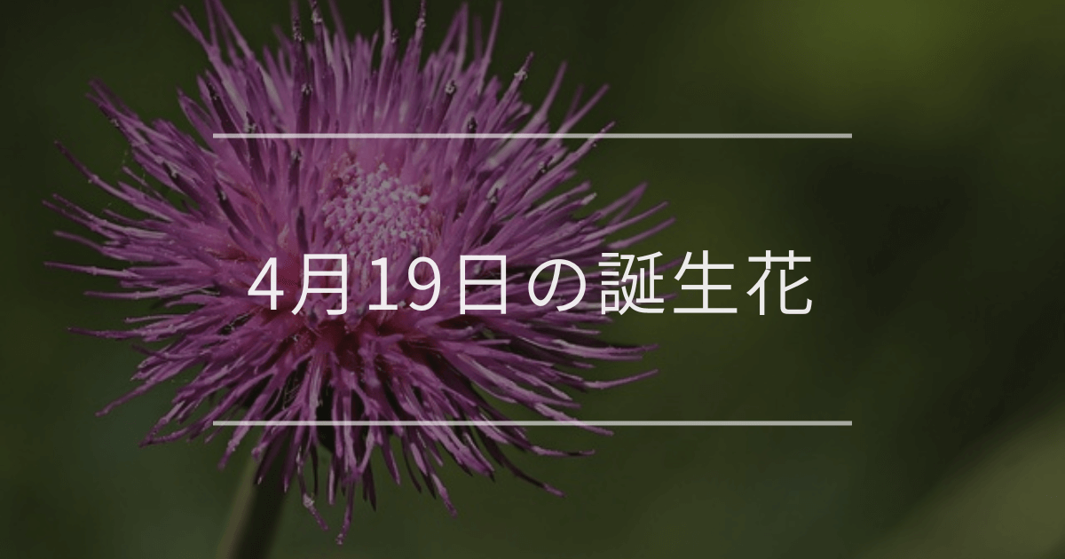 4月19日の誕生花