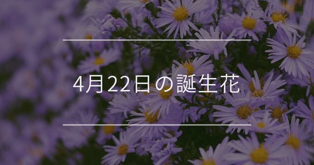 4月22日の誕生花：アスター(エゾギク)・ムシトリナデシコの花言葉など
