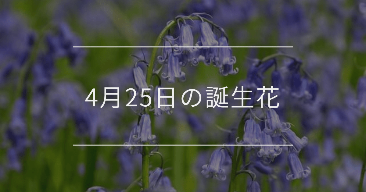 4月25日の誕生花