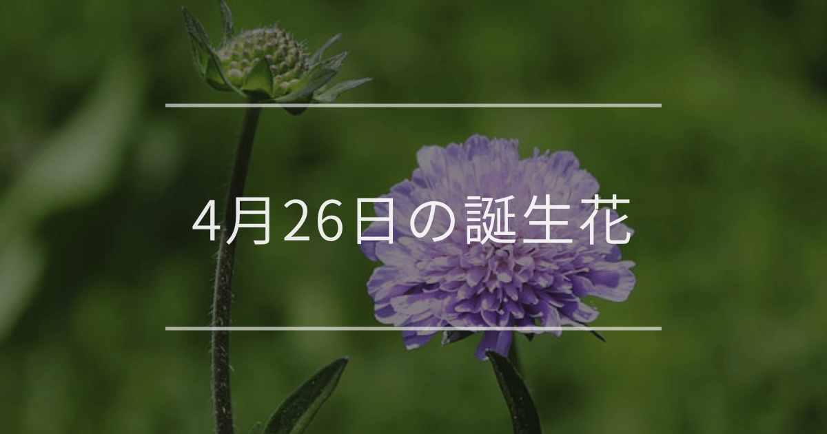 4月26日の誕生花