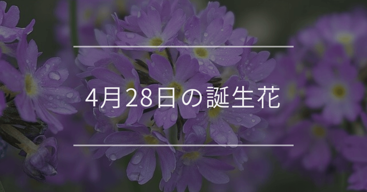 4月28日の誕生花