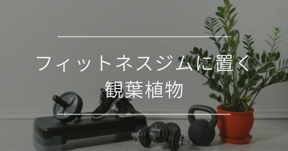 フィットネスに置く観葉植物