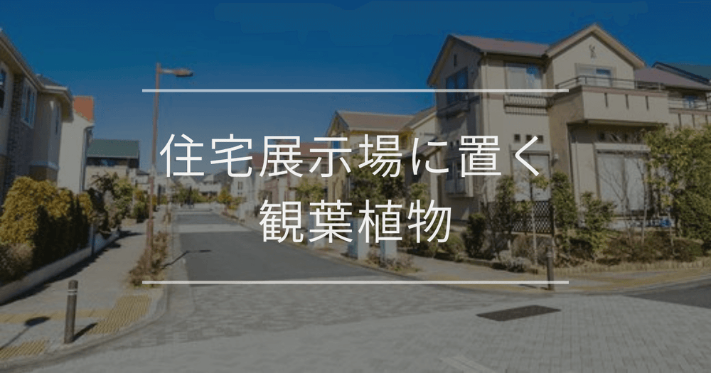 住宅展示場に置く観葉植物｜おすすめの種類とインテリア例