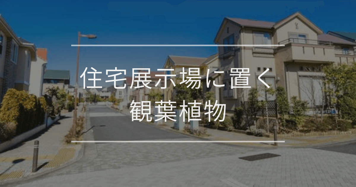 住宅展示場に置く観葉植物