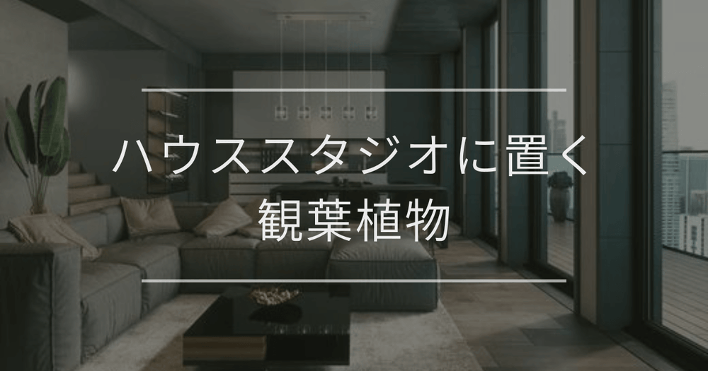 ハウススタジオに置く観葉植物｜レイアウト例やチェックポイントを紹介