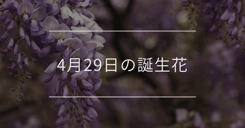 4月29日の誕生花：フジ(藤)・カキツバタの花言葉など