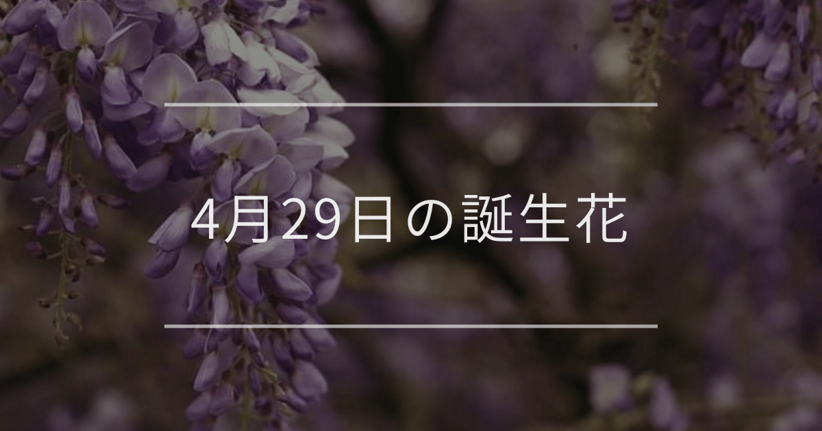 4月29日の誕生花