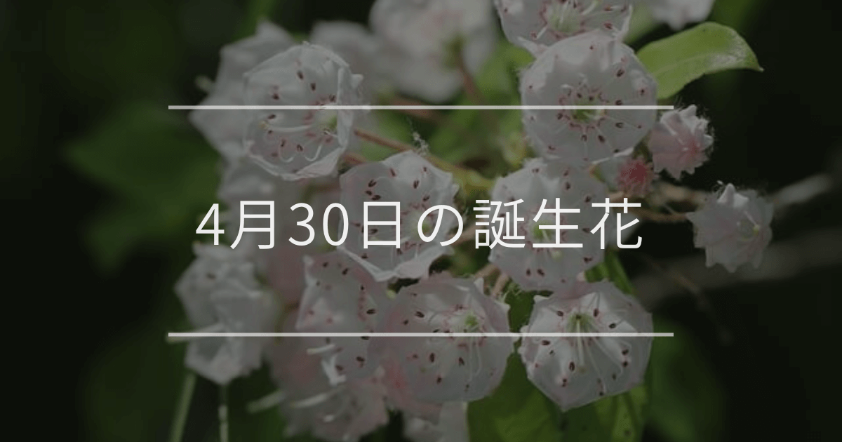 4月30日の誕生花