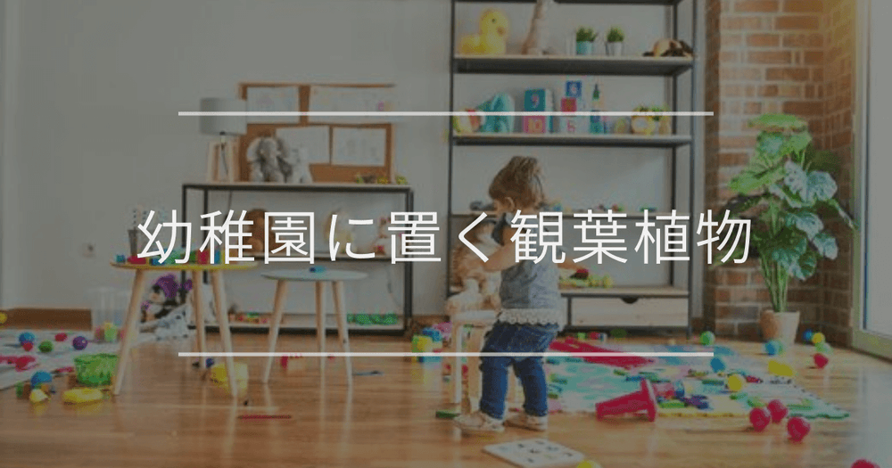 幼稚園に置く観葉植物｜おすすめの種類とインテリア例