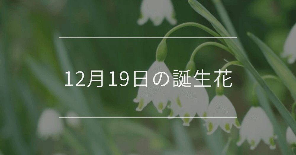 12月19日の誕生花：スノーフレーク・クリスマスローズの花言葉など