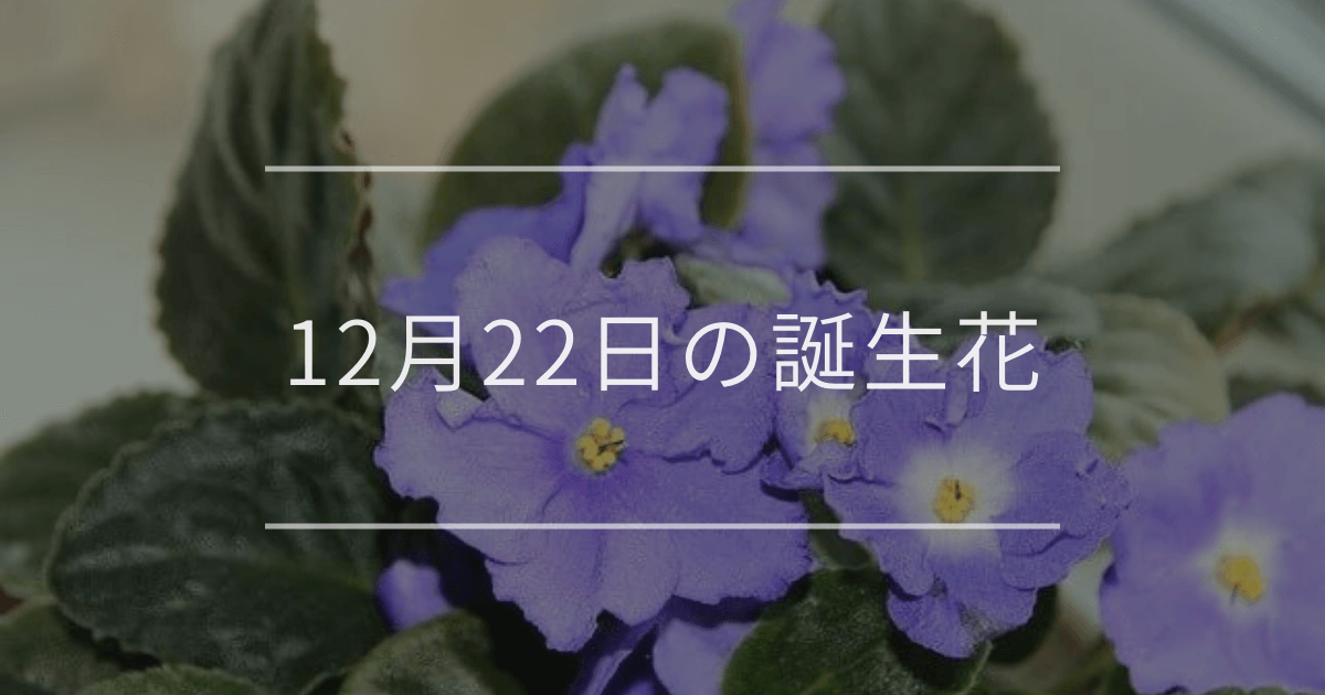 12月22日の誕生花