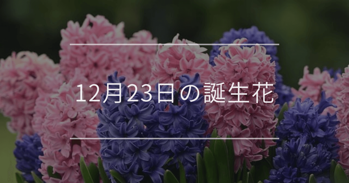 12月23日の誕生花