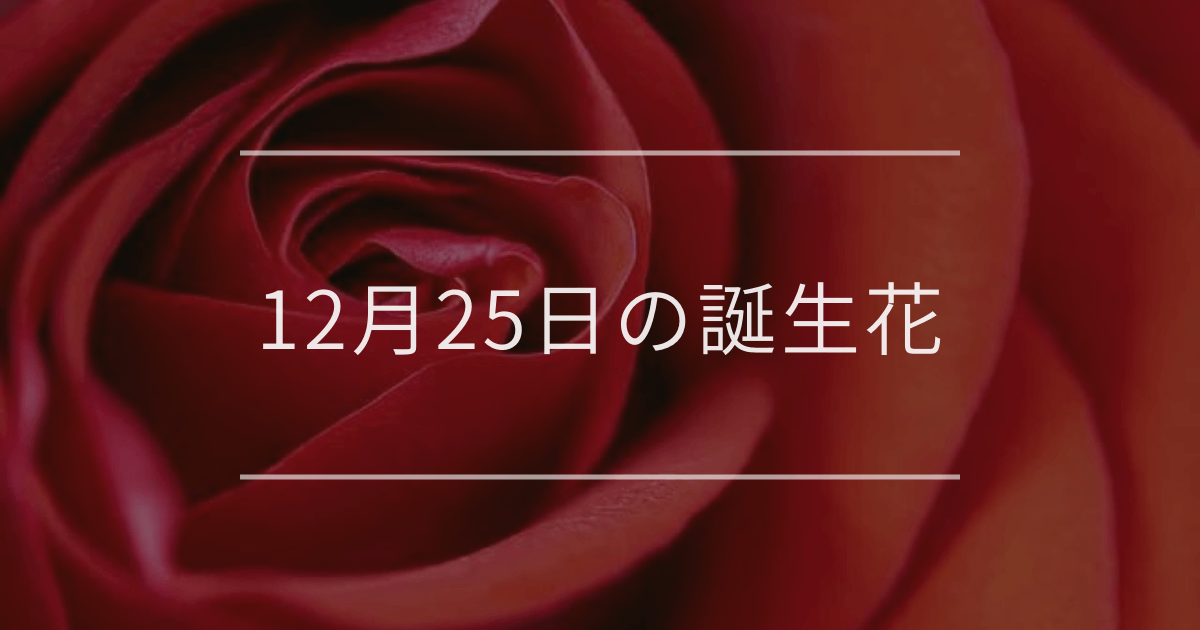 12月25日の誕生花