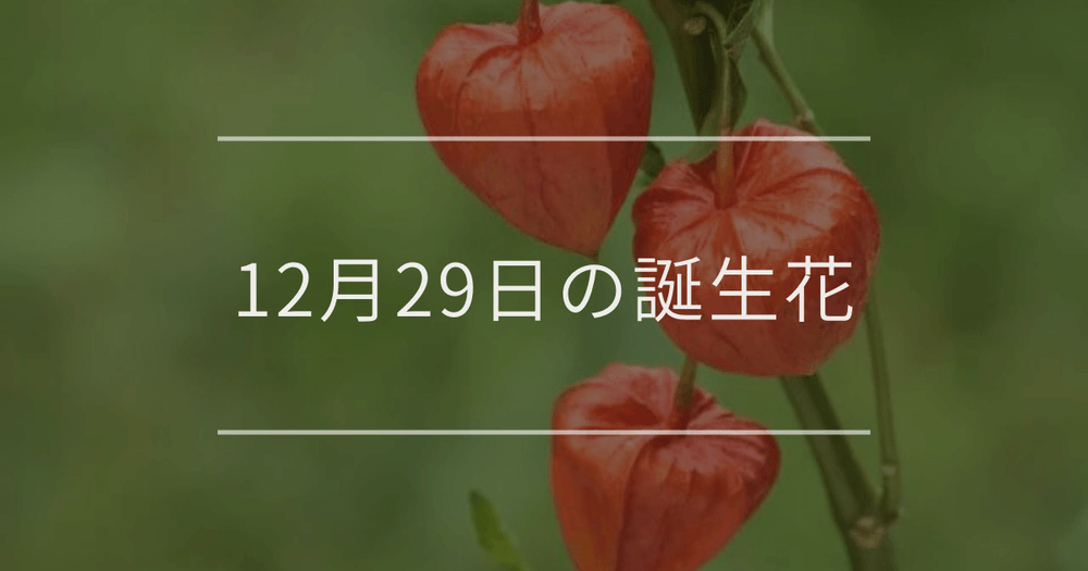 12月29日の誕生花：ホオズキ・ナンテンの花言葉など