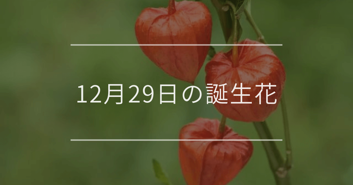12月29日の誕生花