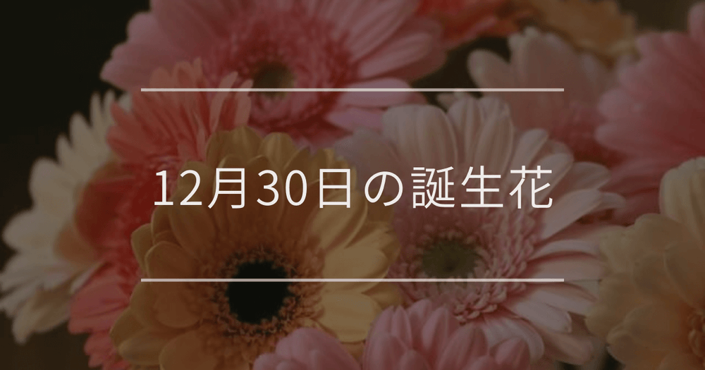 12月30日の誕生花：ガーベラ・ハボタンの花言葉など