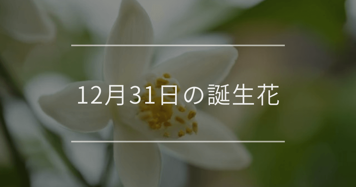 12月31日の誕生花