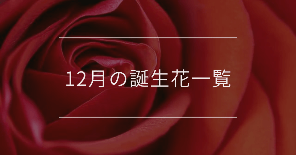 12月の誕生花一覧｜誕生月と誕生日の花言葉